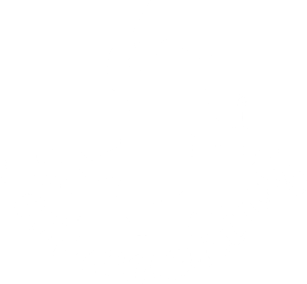 Fain Cooking - Cursuri de gatit Brasov